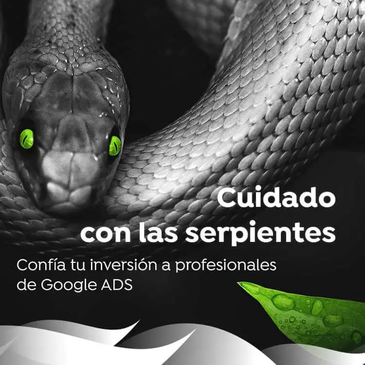 Agencia de google adwords