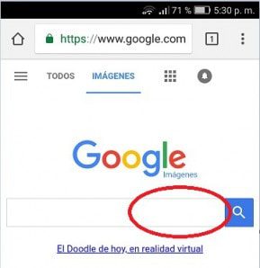 Buscar por google imagenes