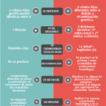 ¿cuál es la diferencia entre división vertical y horizontal?