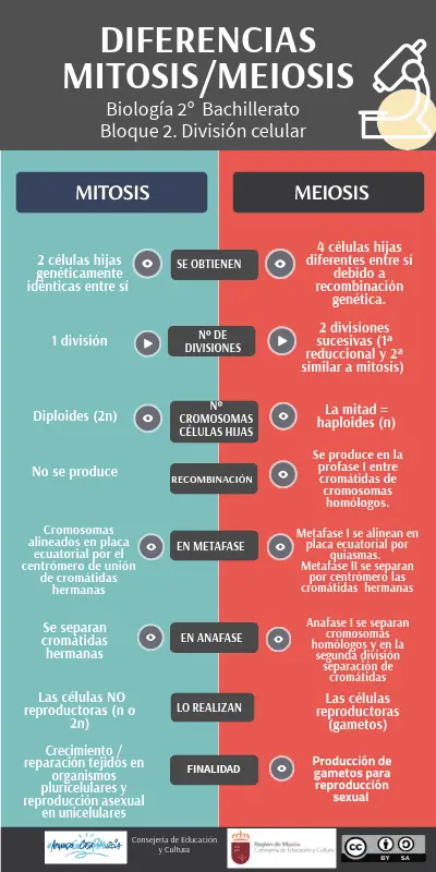 ¿cuál es la diferencia entre división vertical y horizontal?