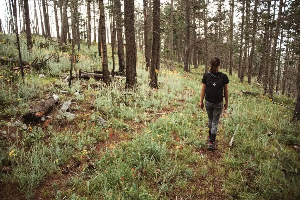 ¿cuál es la diferencia entre senderismo y trekking?