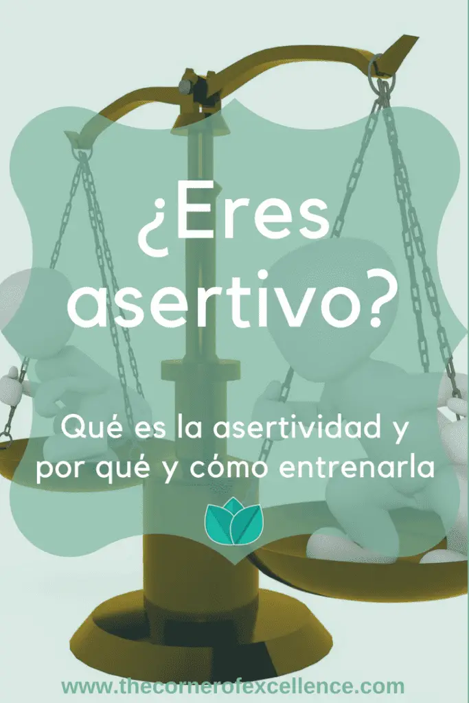 ¿qué significa la asertividad en un profesional?
