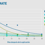 ¿cómo se hace una degradación?