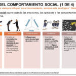 ¿cuáles son los tipos de membresía y su influencia en la conducta humana?