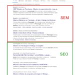 ¿qué es seo y sem ejemplos?