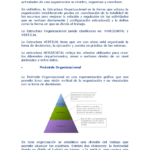 ¿qué es una estructura organizativa horizontal?