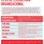 ¿qué tipos de diseños organizacionales existen?