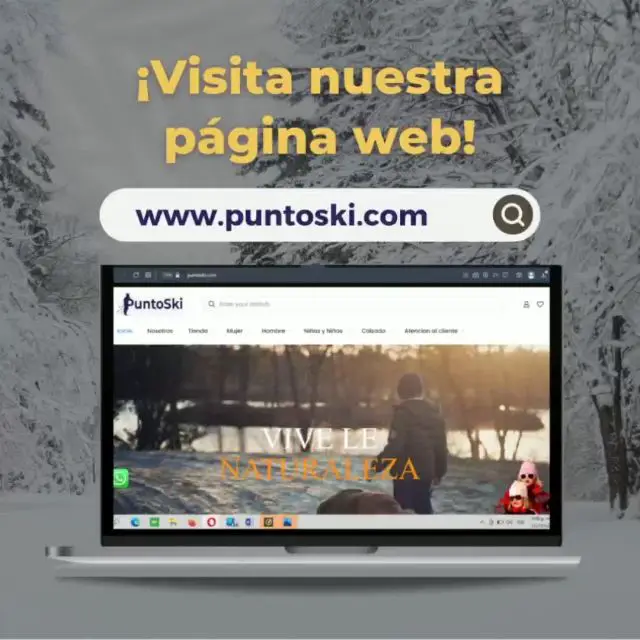 Como ver toda la informacion de una pagina web