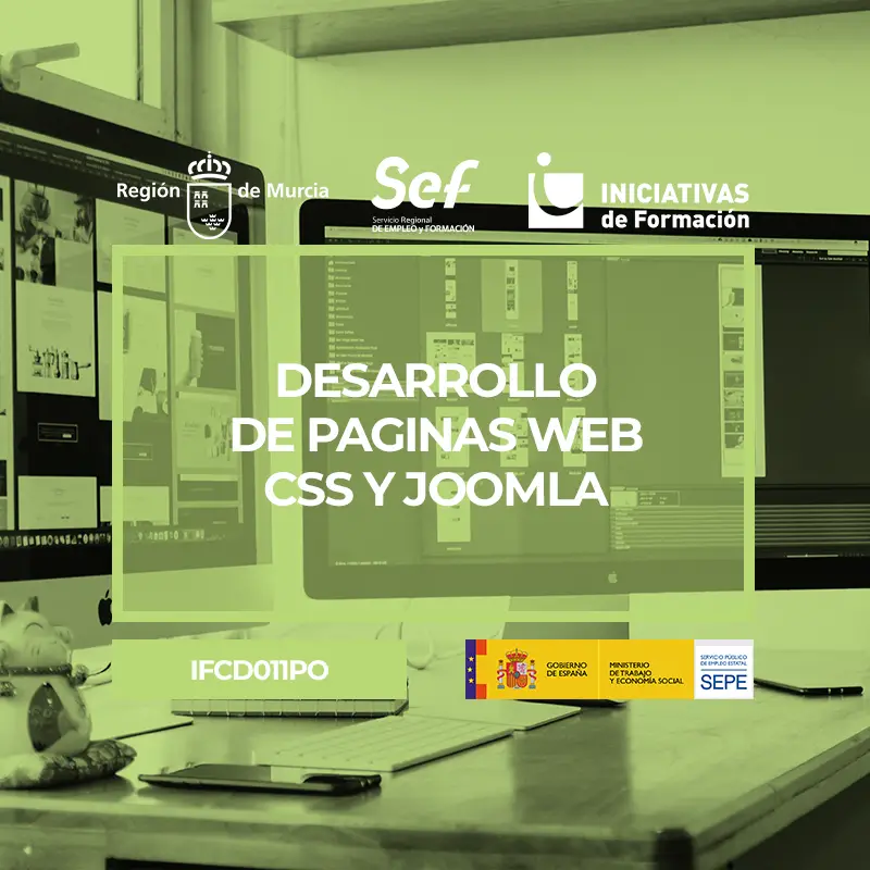 Curso online paginas web