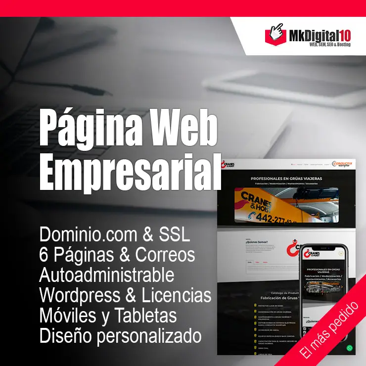 Seguridad ssl paginas web