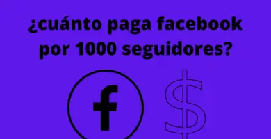 ¿cuánto paga facebook por 1000 seguidores?